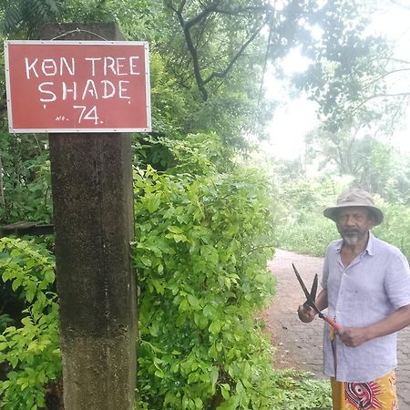 Kon Tree Shade Apartment Dambulla Exterior photo